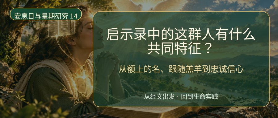 Word 导入图片