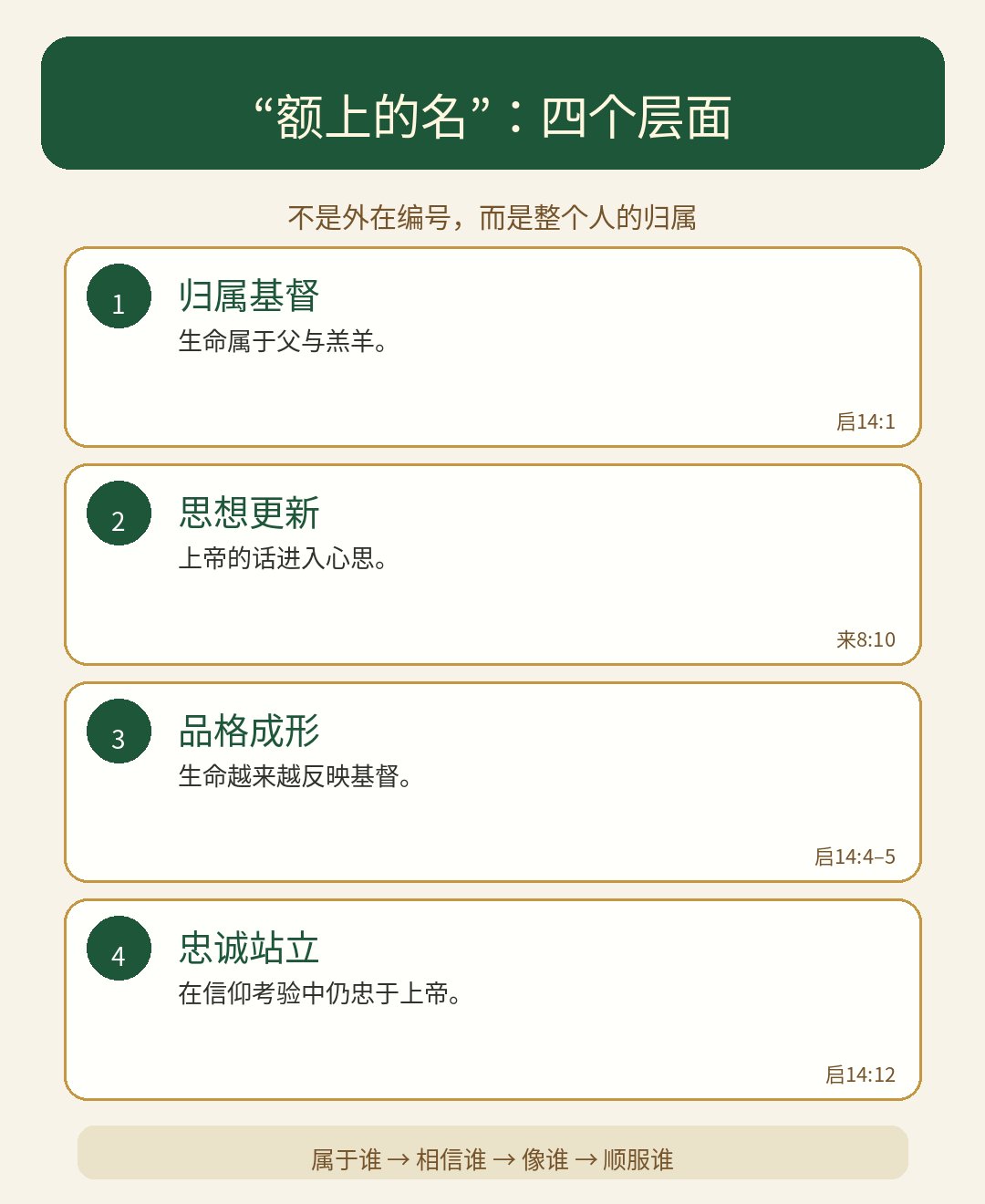 Word 导入图片